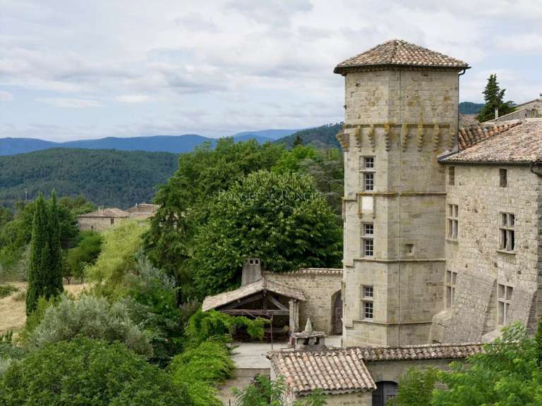 Château Joyeuse - 7 chambres - 550m²