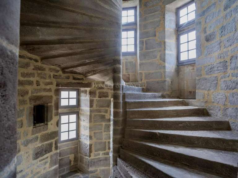 Château Joyeuse - 7 chambres - 550m²