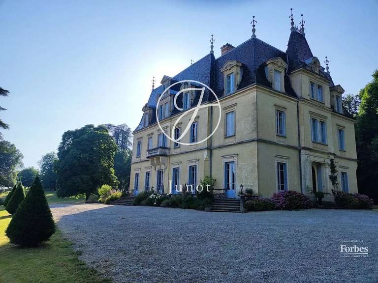 Castle Jujurieux - 15 bedrooms - 1045m²