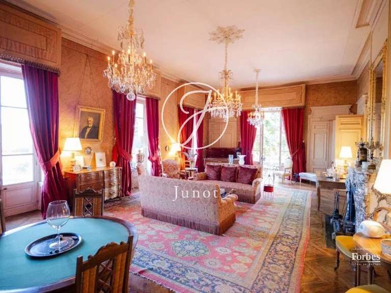 Castle Jujurieux - 15 bedrooms - 1045m²