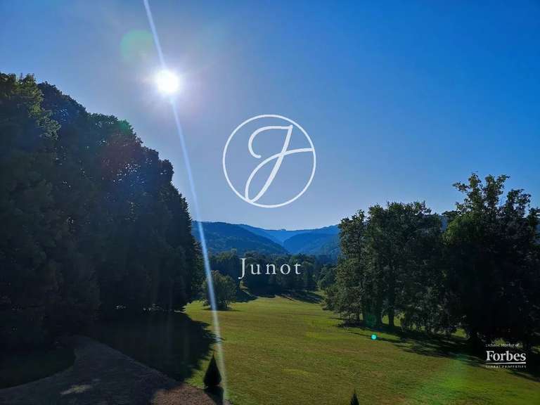 Castle Jujurieux - 15 bedrooms - 1045m²