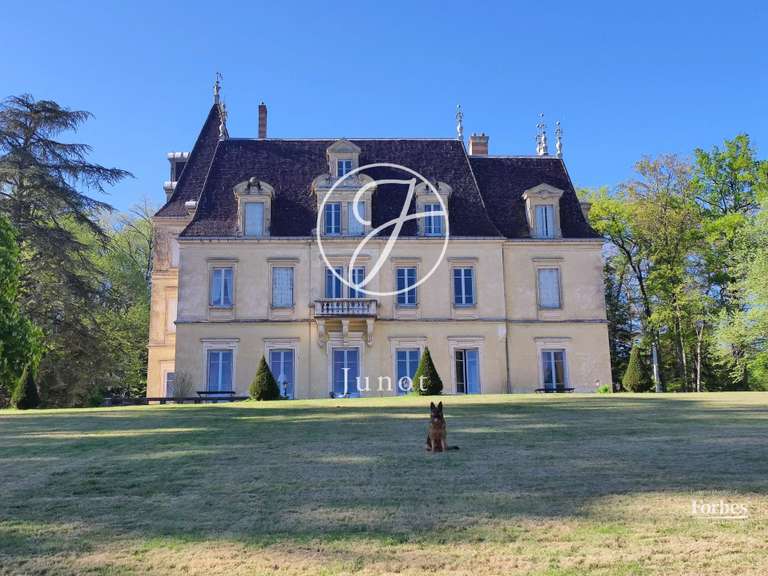 Castle Jujurieux - 15 bedrooms - 1045m²
