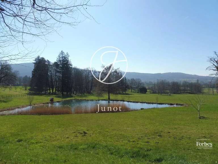 Castle Jujurieux - 15 bedrooms - 1045m²