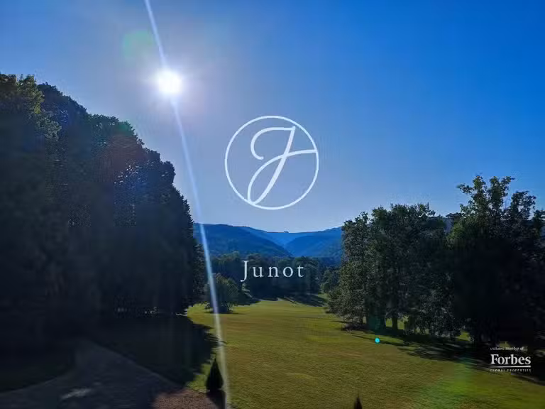 Castle Jujurieux - 15 bedrooms - 1045m²