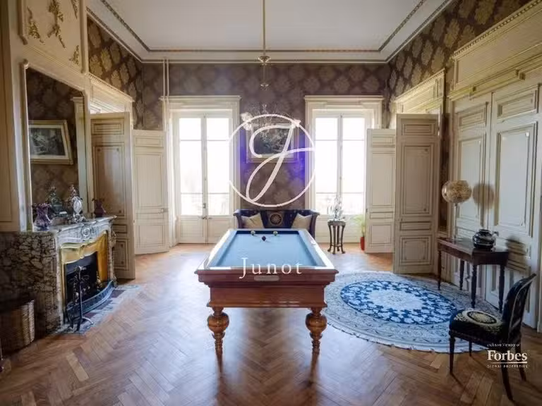 Castle Jujurieux - 15 bedrooms - 1045m²