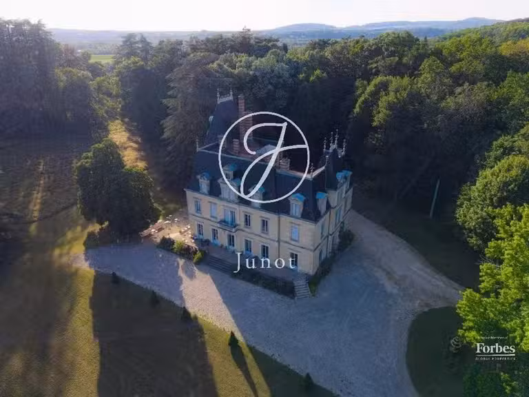 Castle Jujurieux - 15 bedrooms - 1045m²