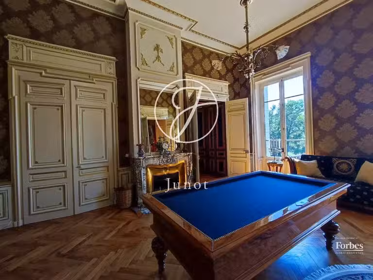Castle Jujurieux - 15 bedrooms - 1045m²