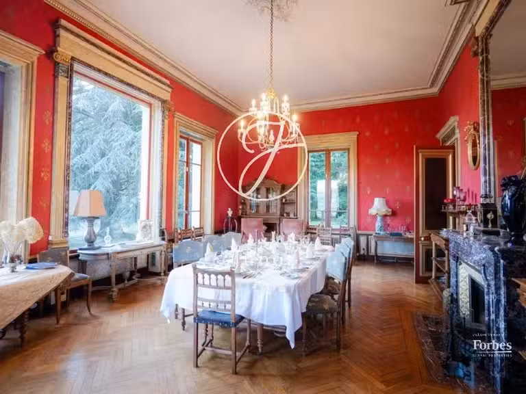 Castle Jujurieux - 15 bedrooms - 1045m²