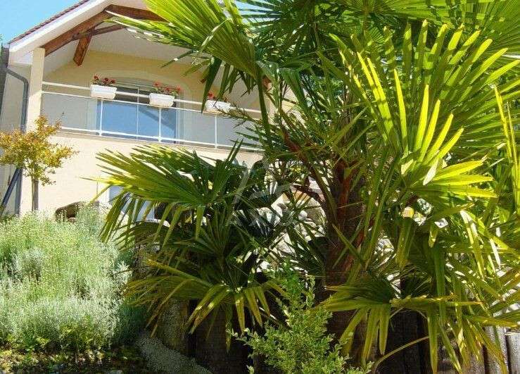 House Jurançon - 7 bedrooms