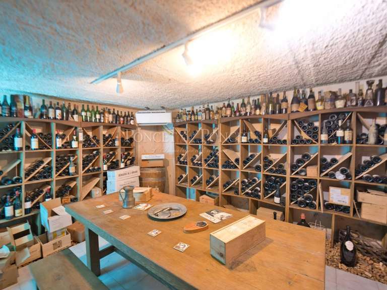 Maison Juvignac - 4 chambres - 318m²