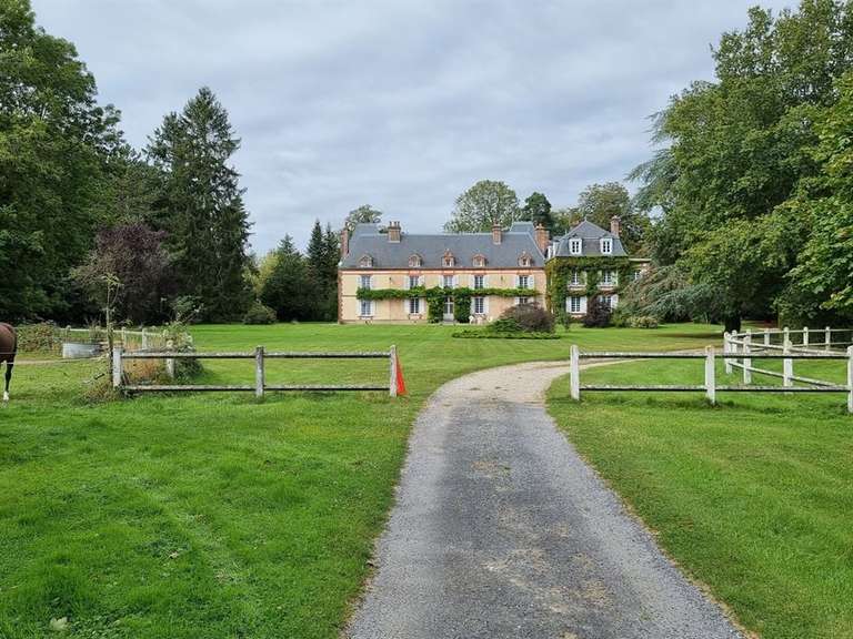 Château L'Aigle - 16 chambres - 650m²