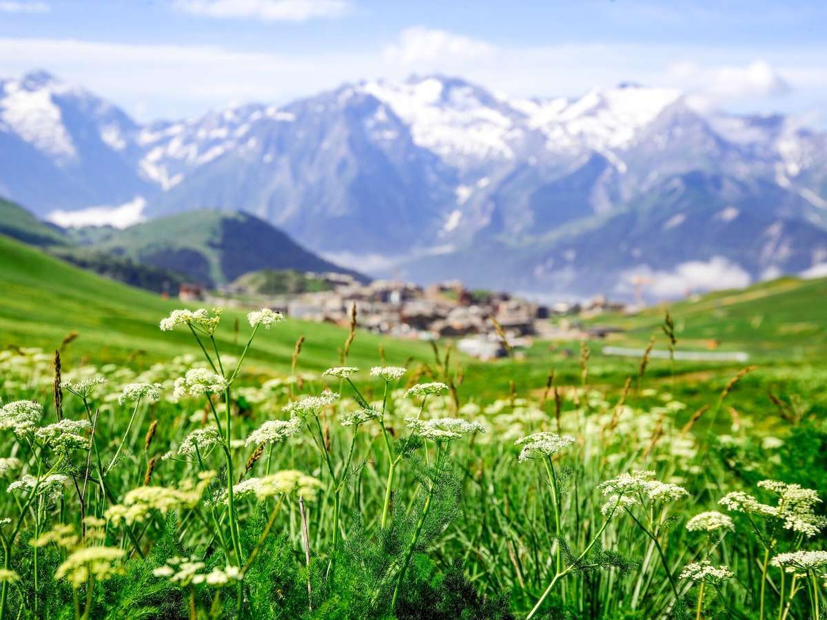 Appartement L'alpe-d-huez