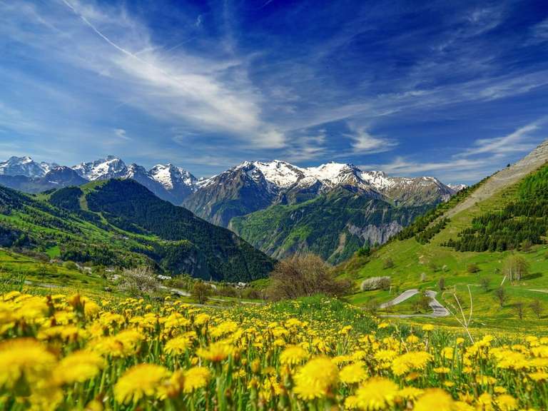 Appartement L'alpe-d-huez - 1 chambre - 50m²