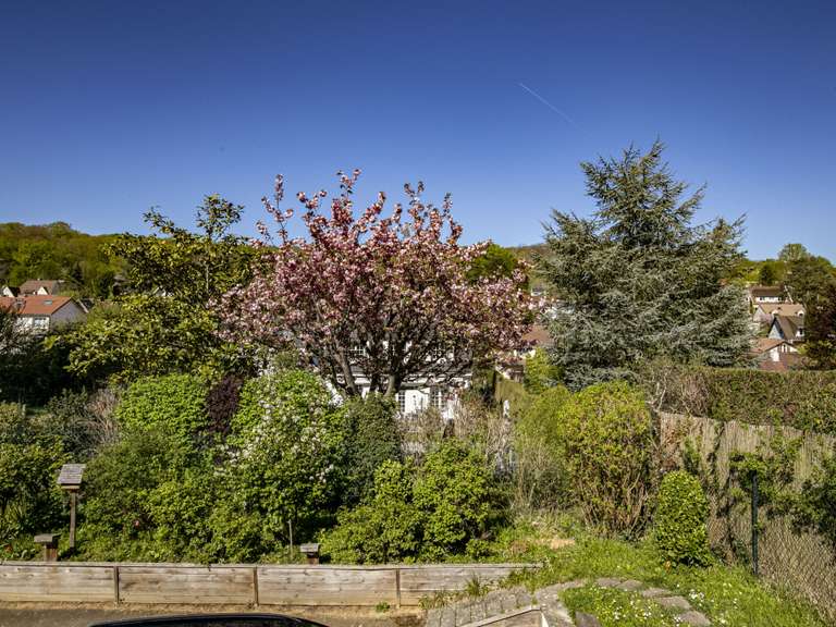 Maison L'Étang-la-Ville - 5 chambres - 230m²