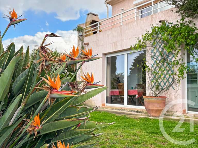 Maison L'Île-Rousse - 6 chambres - 216m²