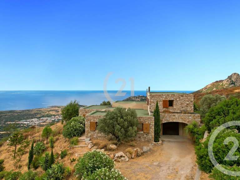 Maison L'Île-Rousse - 5 chambres - 344m²