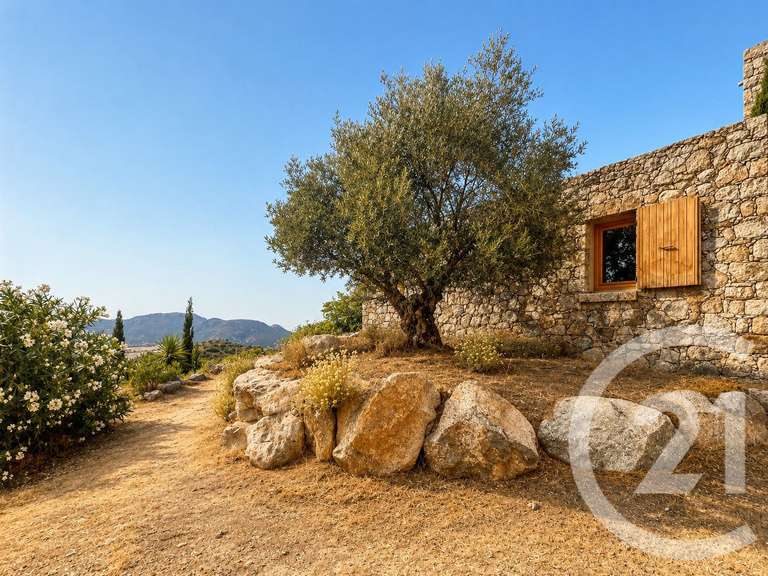 Maison avec Vue sur mer L'Île-Rousse - 5 chambres - 344m²