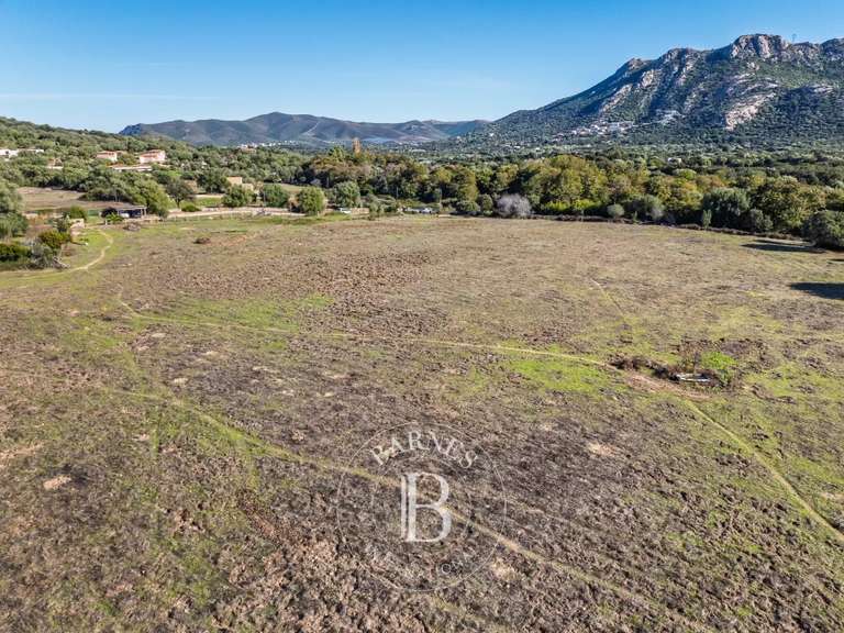 Terrain L'Île-Rousse - 4000m²