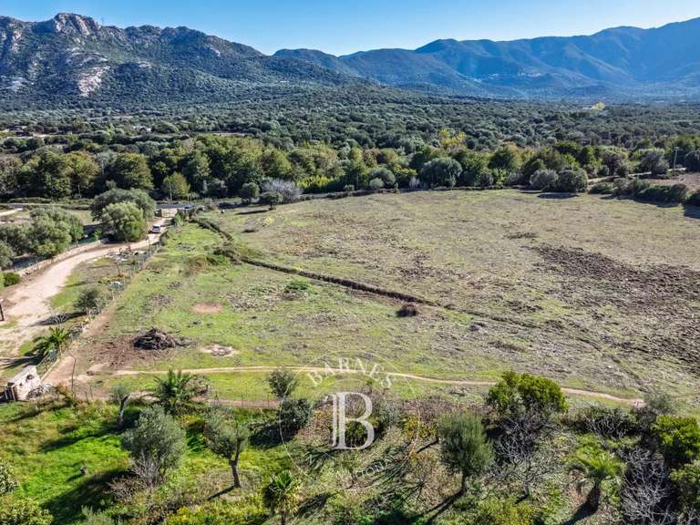 Terrain L'Île-Rousse - 4000m²