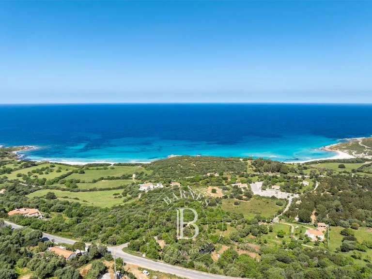 Land with Sea view L'Île-Rousse - 1980m²