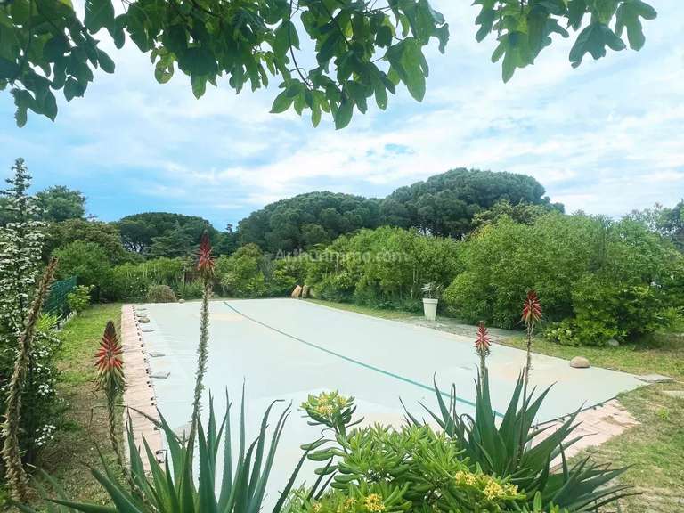 Villa L'Île-Rousse - 4 chambres - 207m²