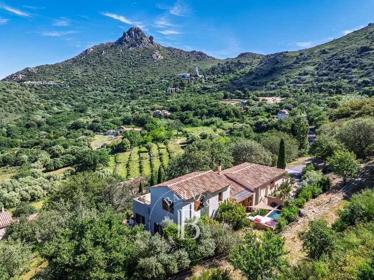 Villa L'Île-Rousse - 5 chambres - 300m²
