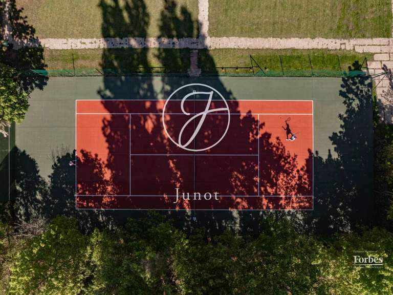 Villa L'Isle-Adam - 12 chambres - 439m²