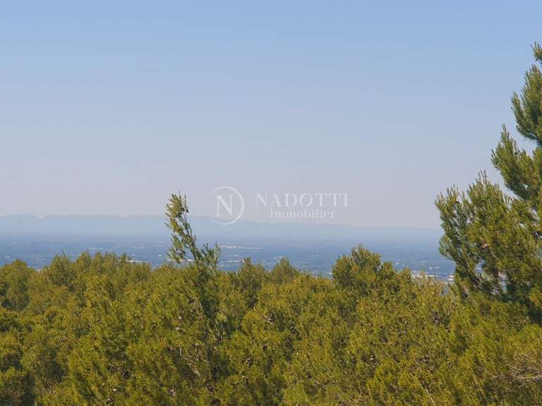 Maison L'Isle-sur-la-Sorgue - 5 chambres - 240m²