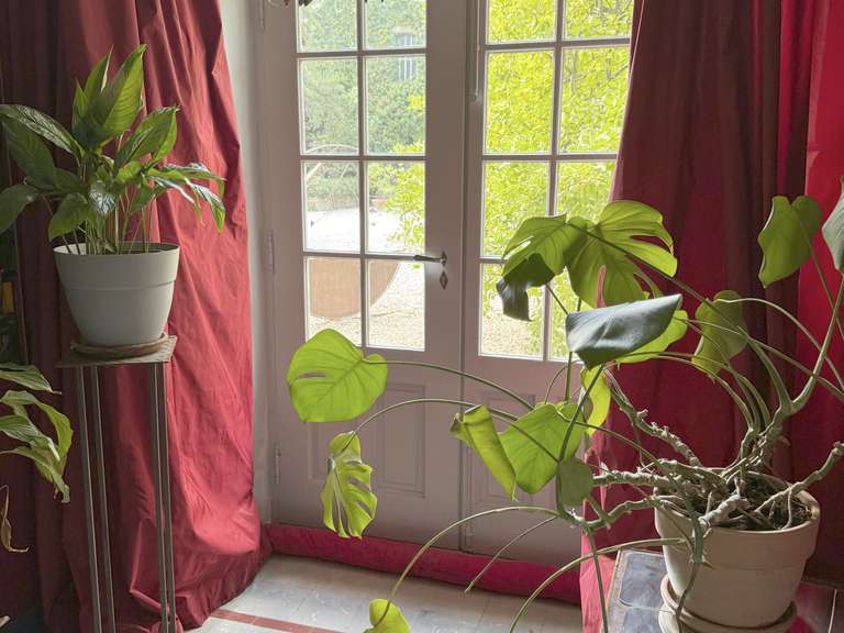 Maison L'Isle-sur-la-Sorgue - 10 chambres - 1300m²