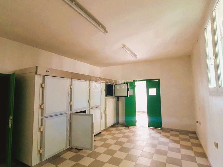 Maison L'Isle-sur-la-Sorgue - 5 chambres - 296m²