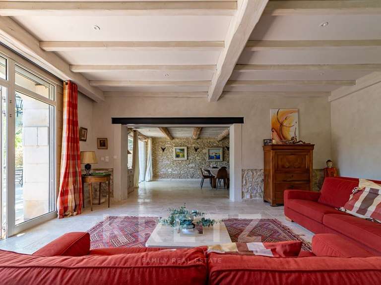 Maison L'Isle-sur-la-Sorgue - 10 chambres - 1000m²