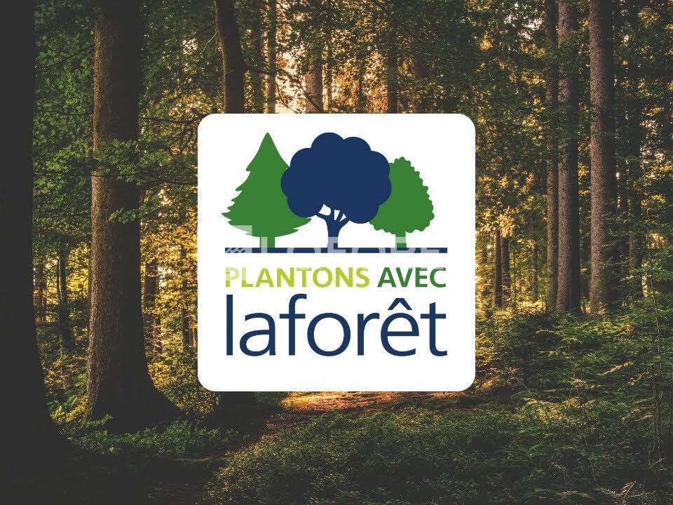 Maison L'Isle-sur-la-Sorgue