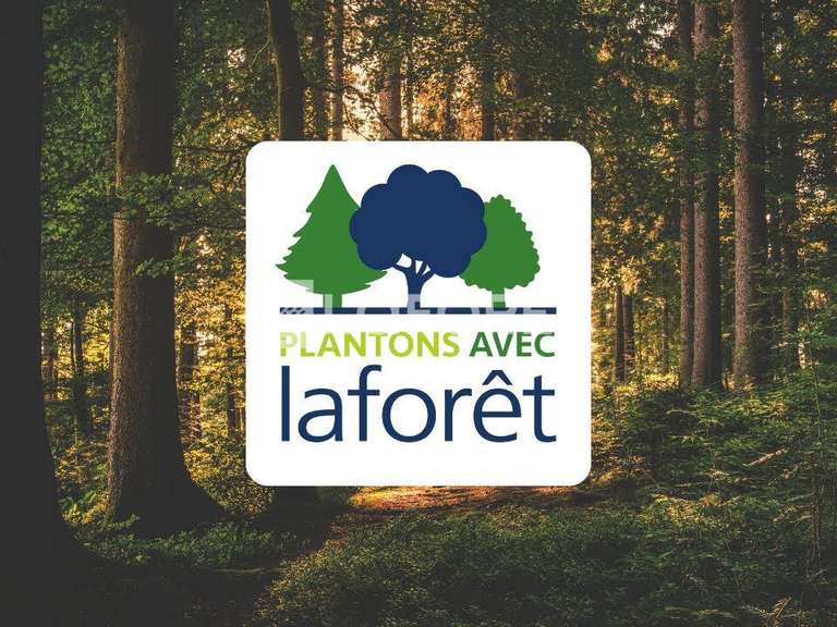 House L'Isle-sur-la-Sorgue - 4 bedrooms - 178m²