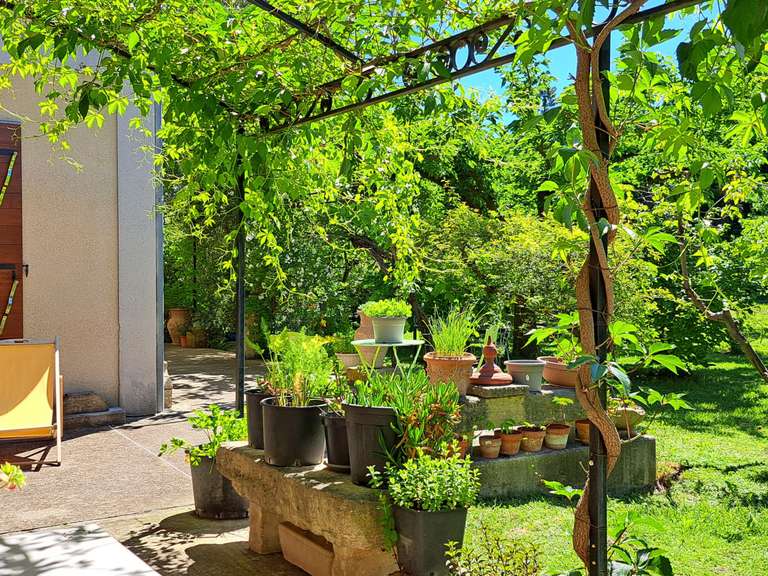Maison L'Isle-sur-la-Sorgue - 6 chambres - 257m²