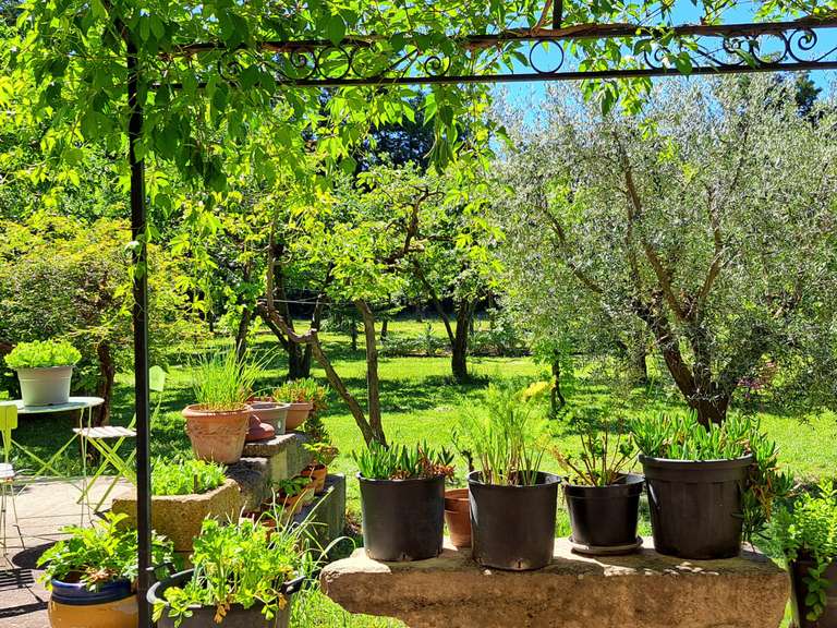Maison L'Isle-sur-la-Sorgue - 6 chambres - 257m²