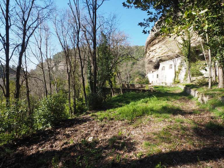 Maison L'Isle-sur-la-Sorgue - 5 chambres - 300m²