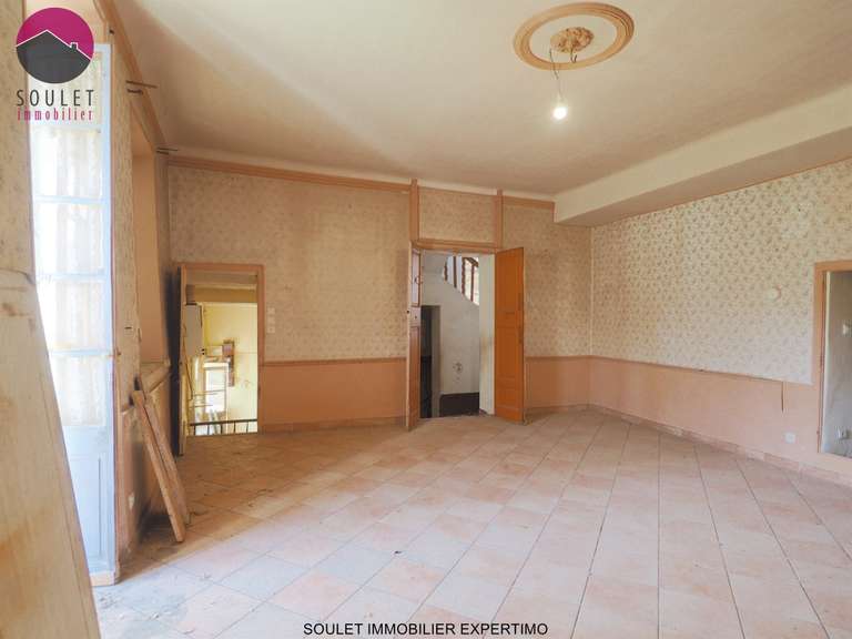 Maison L'Isle-sur-la-Sorgue - 5 chambres - 300m²