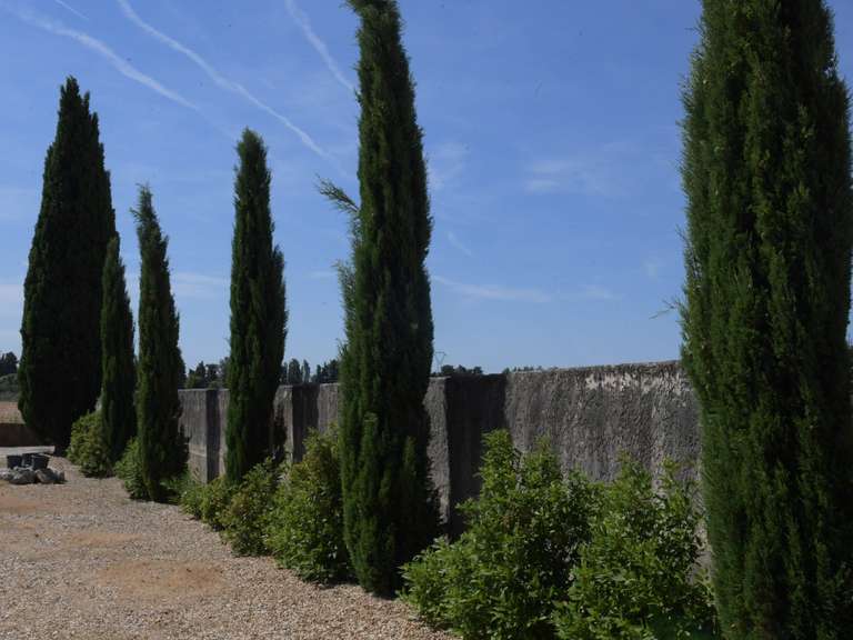 Maison L'Isle-sur-la-Sorgue - 6 chambres - 270m²