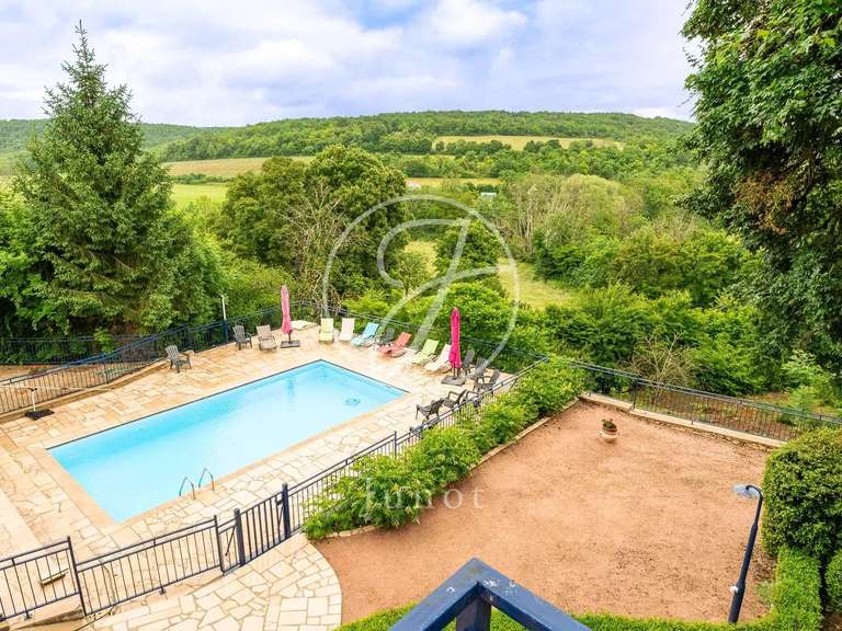 Propriété L'Isle-sur-Serein - 7 chambres - 2000m²