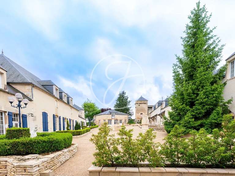 Propriété L'Isle-sur-Serein - 7 chambres - 2000m²