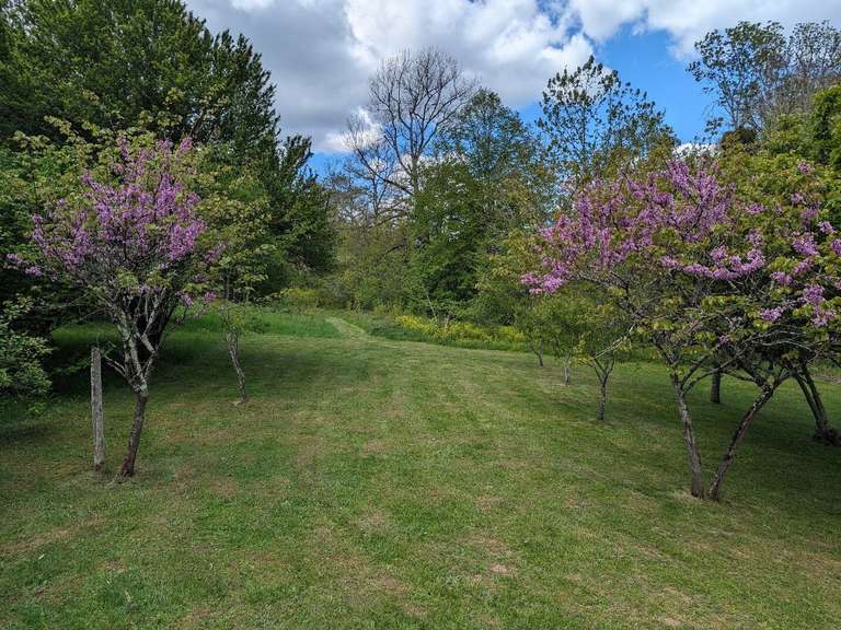 Maison La Bastide-de-Sérou - 13 chambres - 399m²