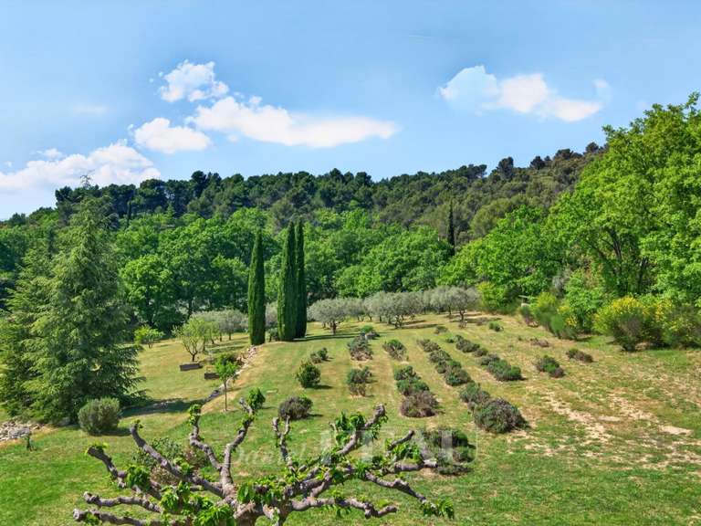 Maison La Bastide-des-Jourdans - 4 chambres - 248m²