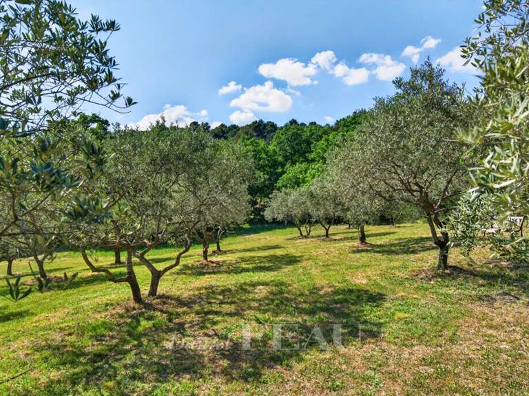 Maison La Bastide-des-Jourdans - 4 chambres - 248m²