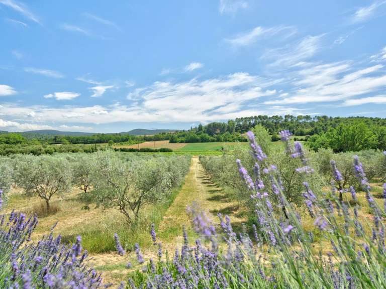 Maison La Bastide-des-Jourdans - 480m²