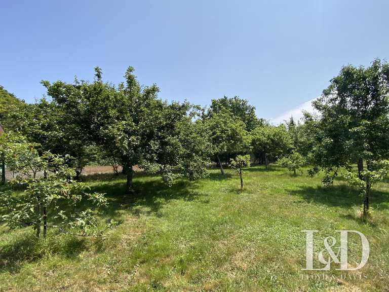 Maison La Baule-Escoublac - 5 chambres - 185m²