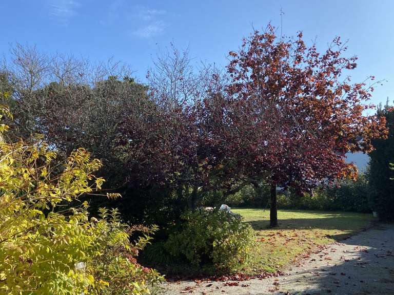 Maison La Baule-Escoublac - 5 chambres - 155m²