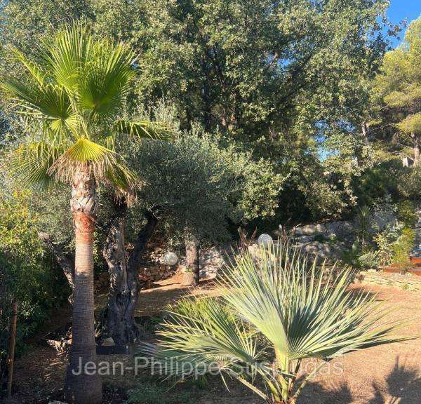 House La Cadière-d'Azur - 3 bedrooms