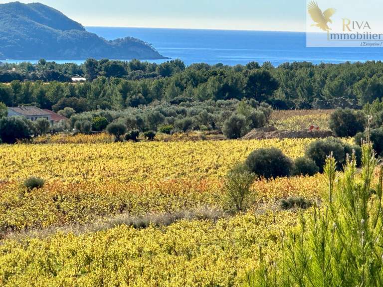 House with Sea view La Cadière-d'Azur - 7 bedrooms - 350m²