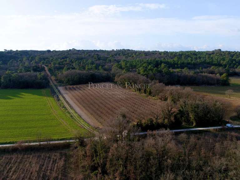 Maison La Calmette - 4 chambres - 350m²