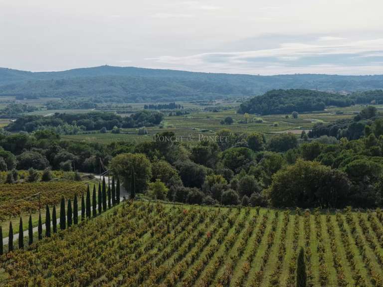 Villa La Capelle-et-Masmolène - 6 chambres - 470m²